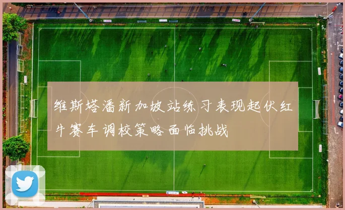 维斯塔潘新加坡站练习表现起伏红牛赛车调校策略面临挑战