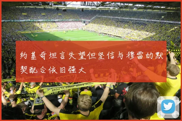 约基奇坦言失望但坚信与穆雷的默契配合依旧强大